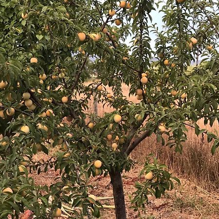Agriturismo S'Aranada Villa Marrùbiu Kültér fotó